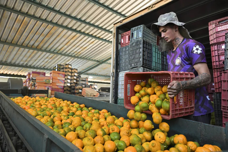 Inflation is cooling. So why is orange juice so expensive right now?
