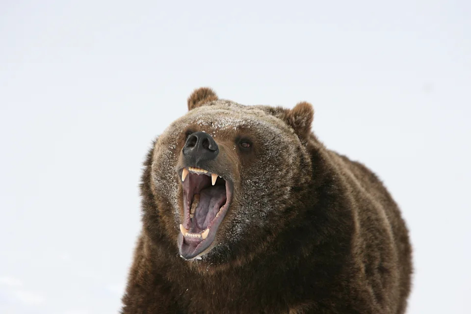 Why Barclays is the latest Wall Street bank to slash its outlook on stocks