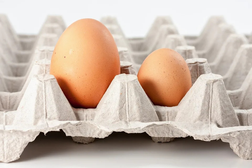 Prediction: 2 Stocks That Will Be Worth More Than AGNC Investment 10 Years From Now